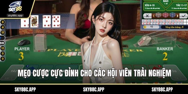 Mẹo cược cực đỉnh cho các hội viên trải nghiệm