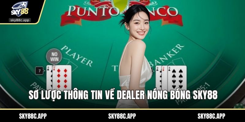 Sơ lược thông tin về dealer nóng bóng Sky88