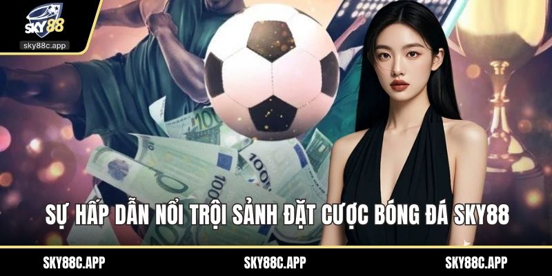 Sự hấp dẫn nổi trội sảnh đặt cược bóng đá Sky88
